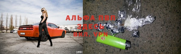 амф Верхний Тагил