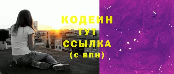 амф Верхний Тагил