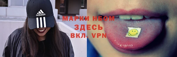 амф Верхний Тагил