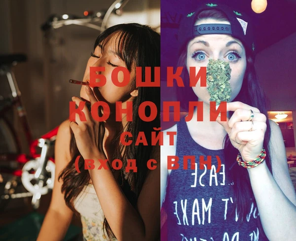 амф Верхний Тагил