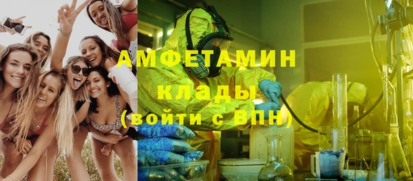 амф Верхний Тагил