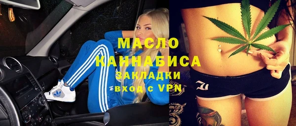 амф Верхний Тагил
