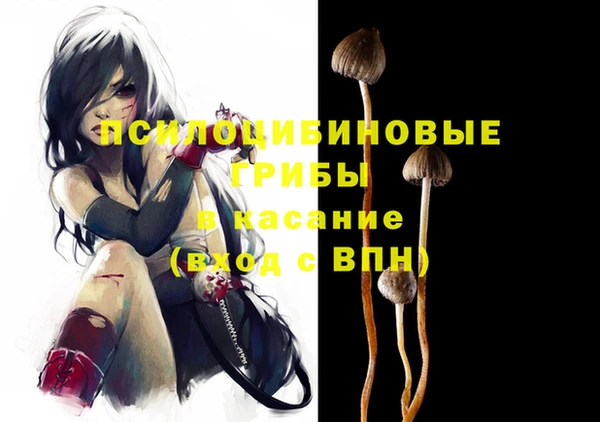 амф Верхний Тагил