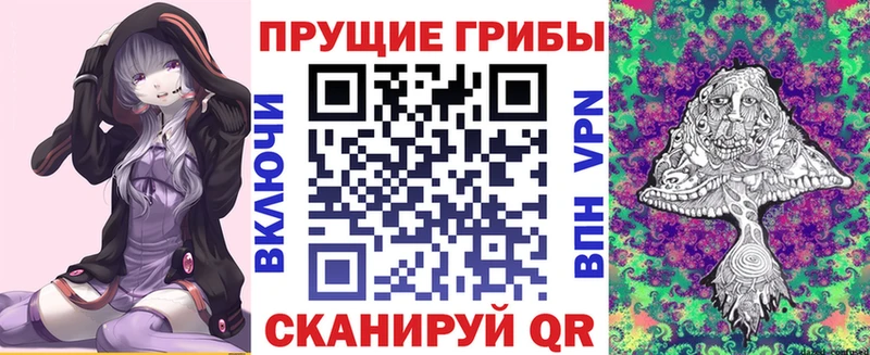 дарк нет какой сайт  Когалым  Псилоцибиновые грибы Psilocybe 